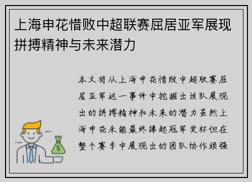 上海申花惜败中超联赛屈居亚军展现拼搏精神与未来潜力