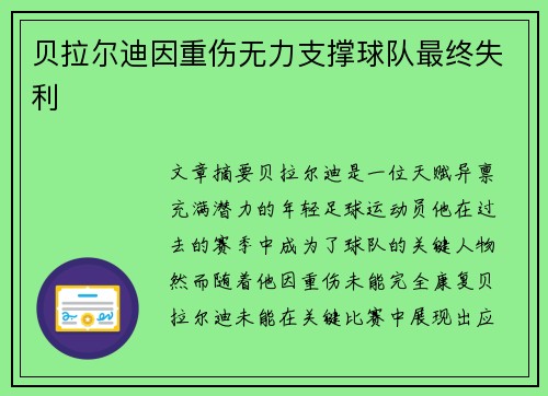 贝拉尔迪因重伤无力支撑球队最终失利